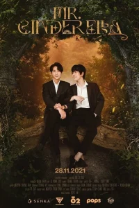  Мистер Золушка 