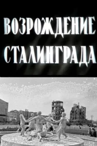  Возрождение Сталинграда 